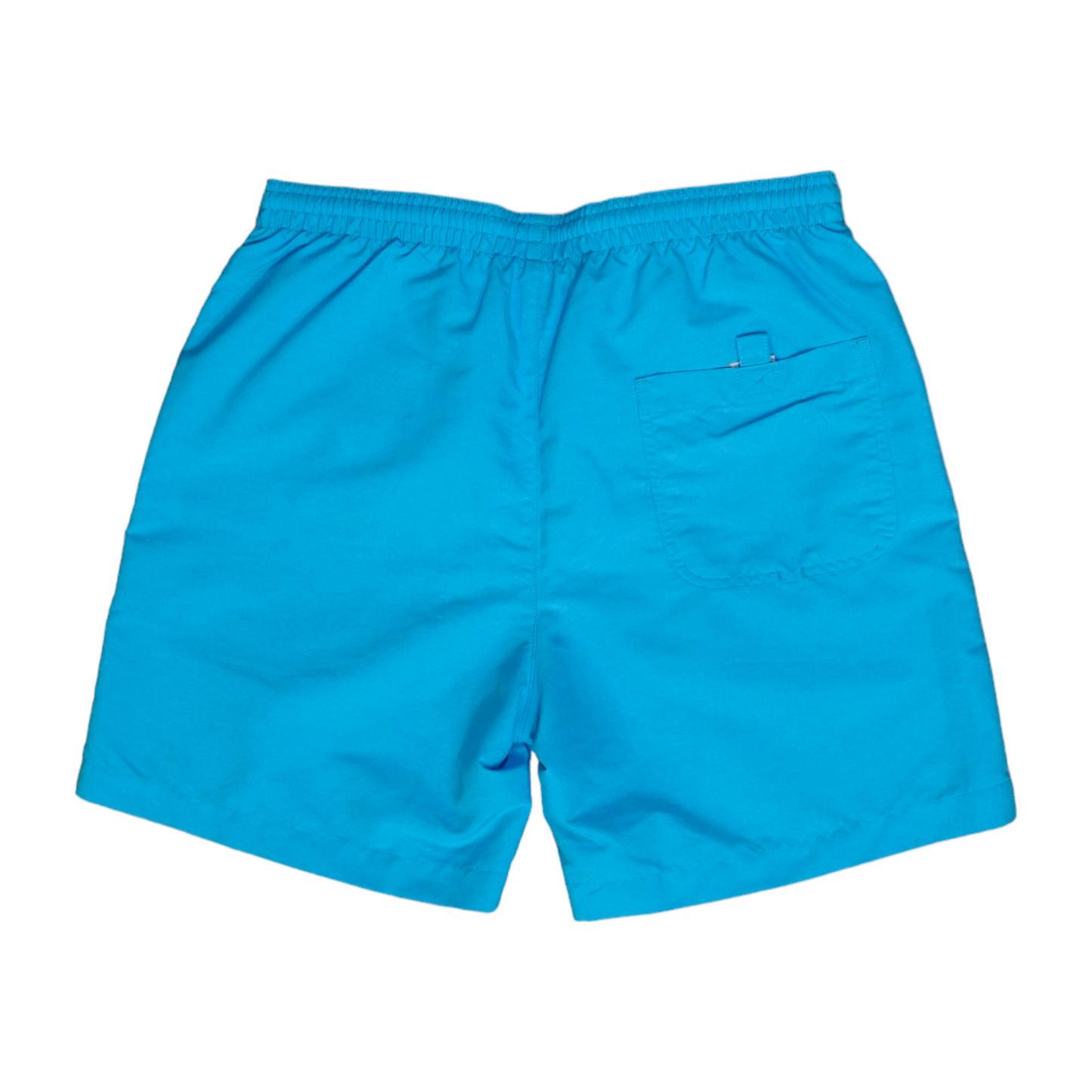 Lacoste Blue Shorts